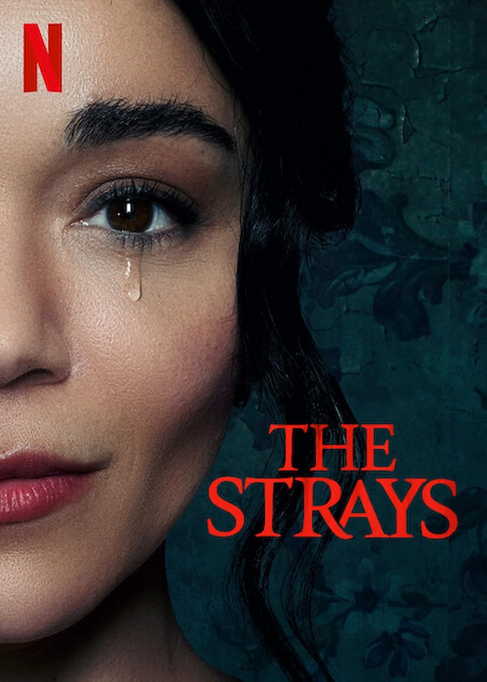 The-Strays